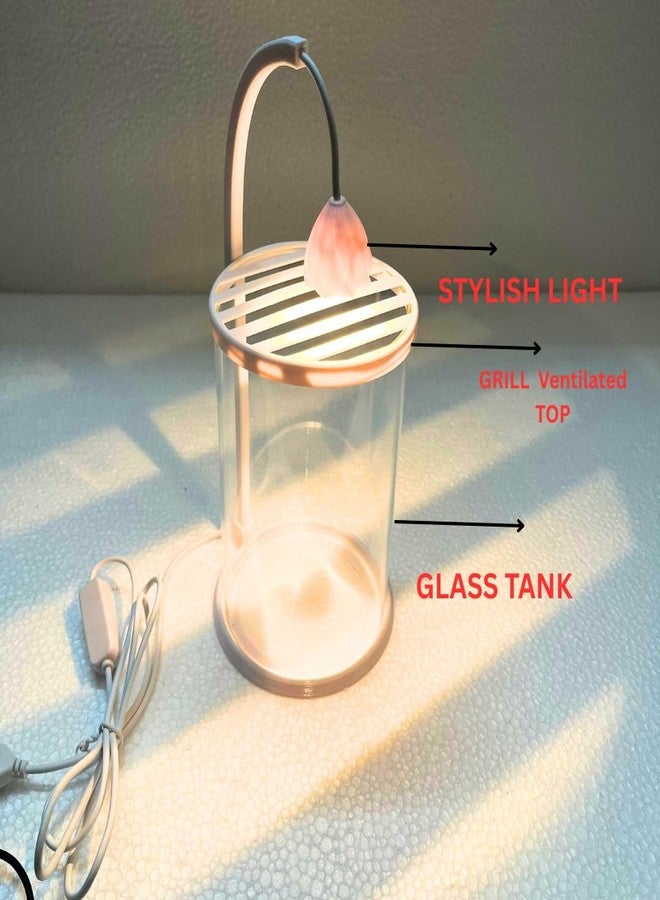KSH STORE حوض سمك بيتا دائري زجاجي شفاف صغير الحجم مناسب للمنزل وغرفة المعيشة، مزود بإضاءة LED بيضاء دافئة تعمل بمنفذ USB، سهل التنظيف والصيانة | تصميم شفاف جيد التهوية - Image 5