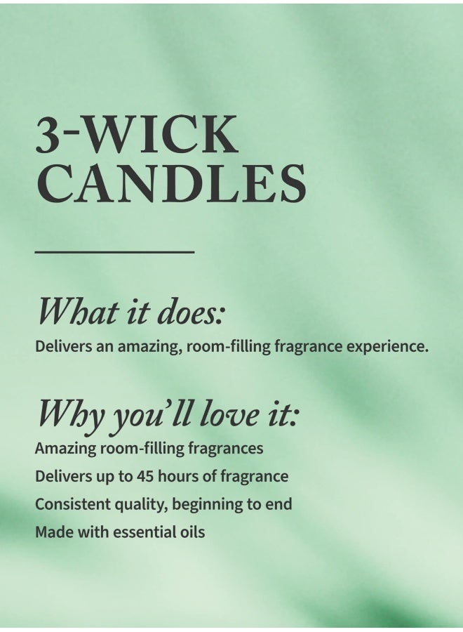 Bath & Body Works Scotch & Oud 3-Wick Candle - Image 4