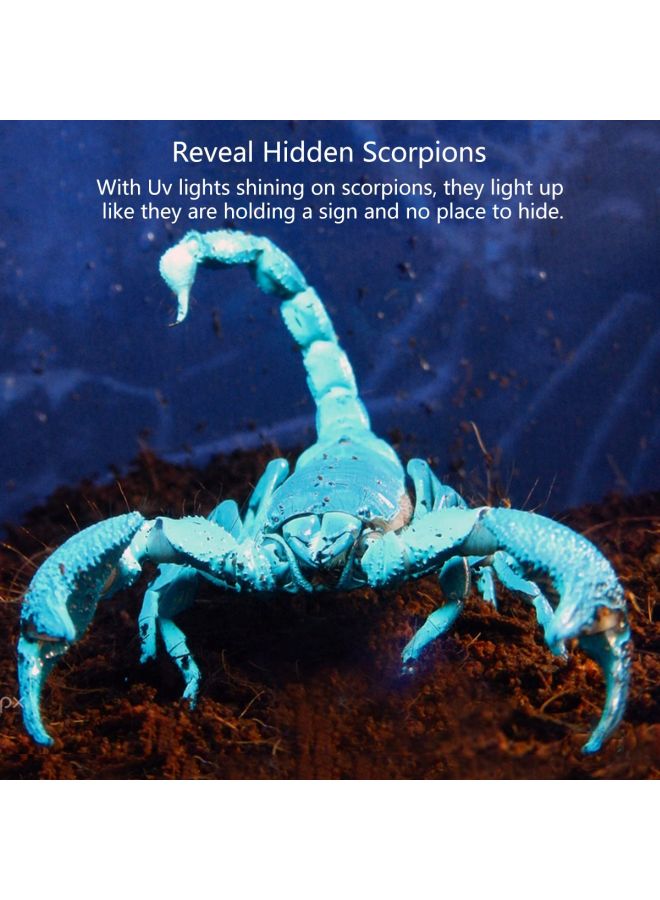 51 LED UV Flashlight Purple/Black 6x6centimeter - Image 5