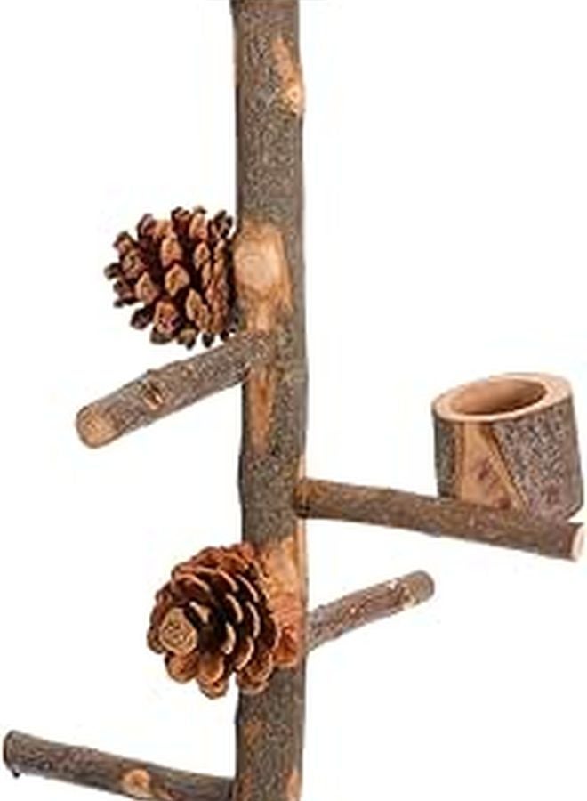 Wooden Bird Perch Stand Training Rack Paw Grinding Perch for Parrots Lovebirds Finches - Image 1