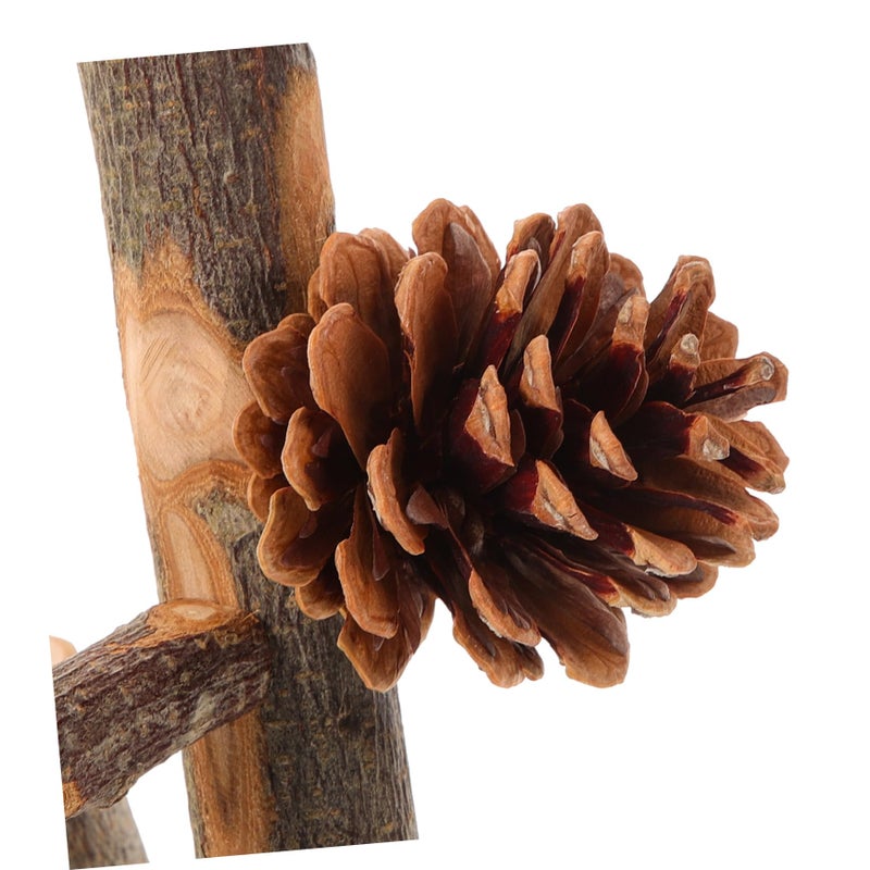 Wooden Bird Perch Stand Training Rack Paw Grinding Perch for Parrots Lovebirds Finches - Image 4