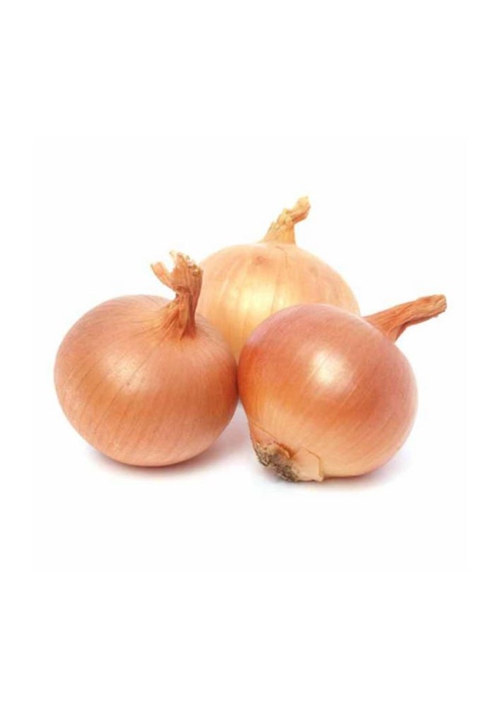 Brown Onion , 750g , Turkey