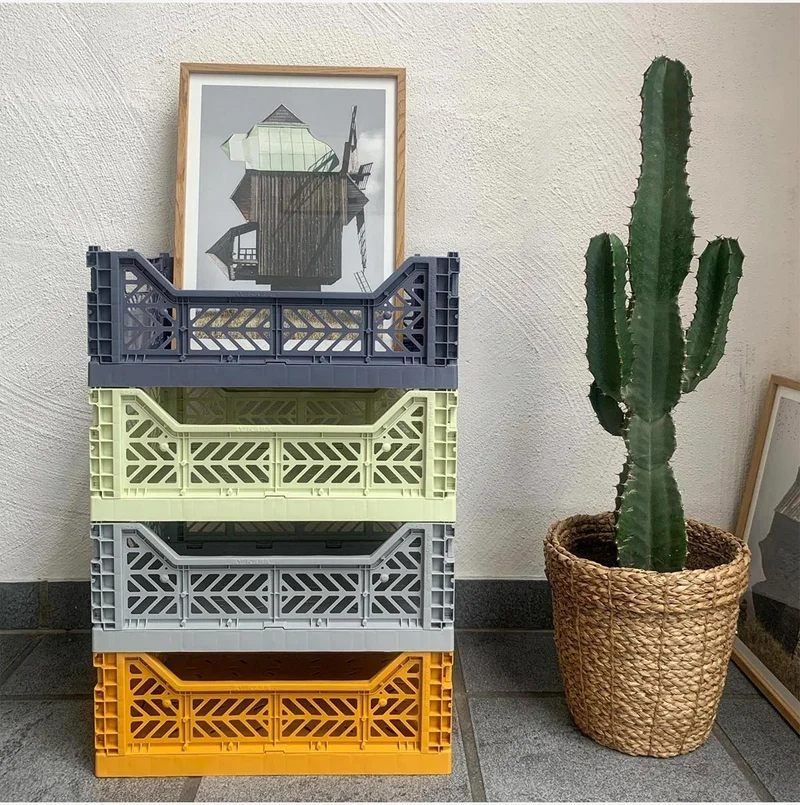 Ayyıldız Aykasa 403014 Midibox Mustard Foldable Case