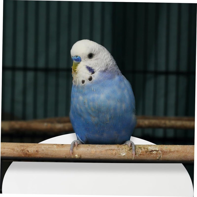 100pcs Disposable Bird Cage Liners Paper Absorbent Parrot Cage Cushions for Easy Cleanup and for Bird Owners - Image 4