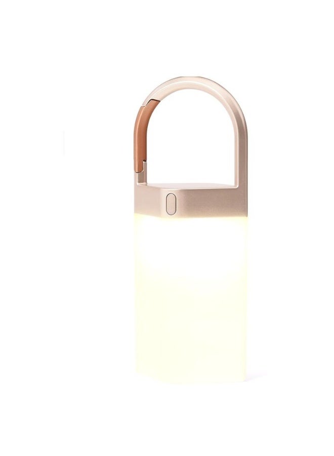 LEXON Horizon Hanging Portable LED Lamp With 7 Light Colors And Touch Control Dimmer - Image 4