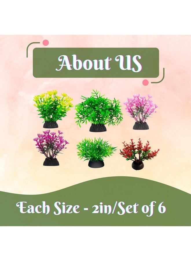 Turtle House/Tank Accessories Combo - (2Inch 6In1 Plant + Mix Crush Stone - 500Gm) | Decorative Accessories For Turtle Tank, Fish Tank, Aquarium And Aquatic Spaces - Image 2