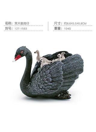 PL127-1593 black swan back baby 104g