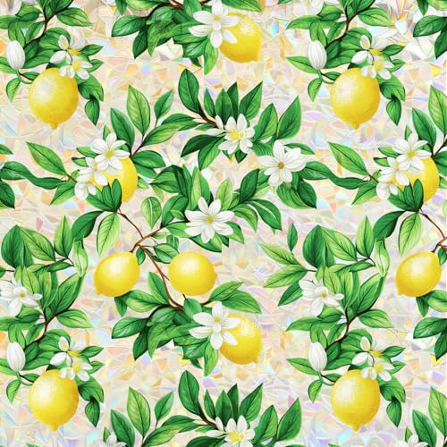 SOMWISE Rainbow Window Privacy Film,Heat Control,UV Blocking,Anti-Glare,Day & Night Privacy Protection & Decoration for Home, Bathroom,Glass Door,Static Cling,Renter-Friendly with Installation Tools - Image 1