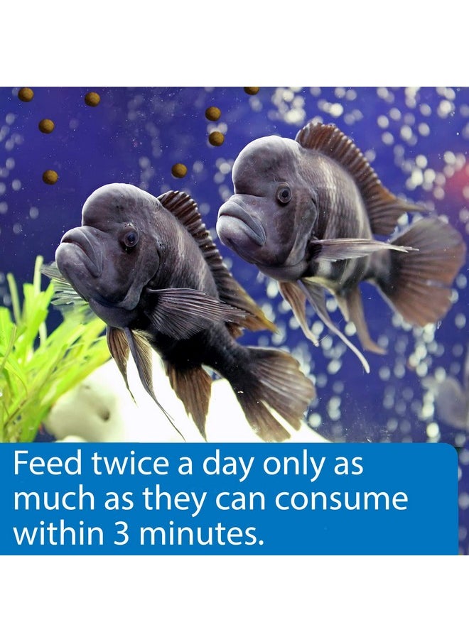 API API CICHLID LARGE PELLETS Large Floating Pellets Fish Food 7.1-Ounce Container  - Image 3