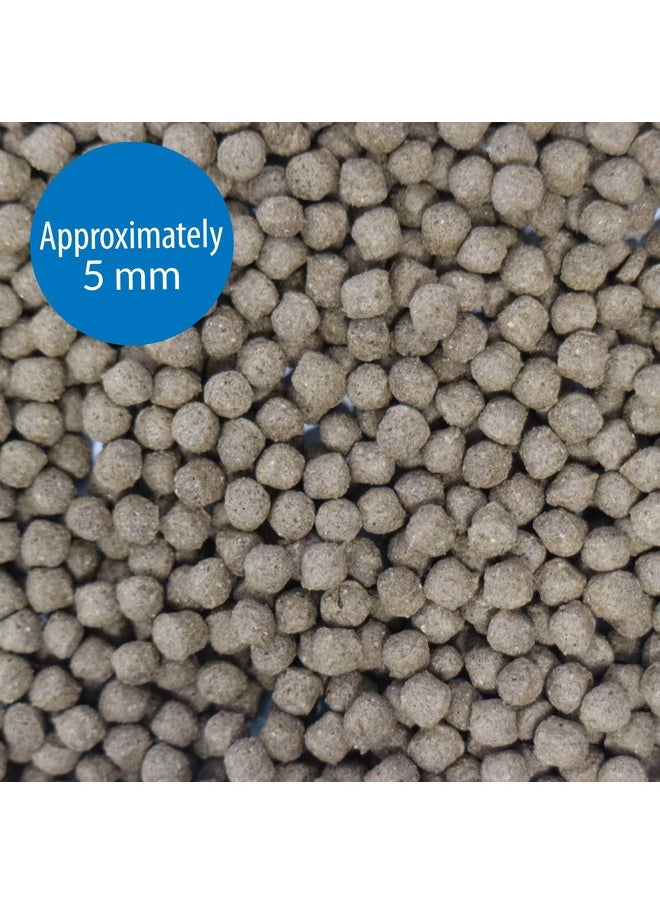 API API CICHLID LARGE PELLETS Large Floating Pellets Fish Food 7.1-Ounce Container  - Image 2