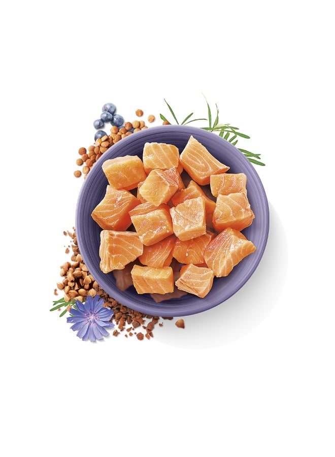 BRIT Carnilove True Fresh Fish For Adult Cats 1.8kg - Image 2