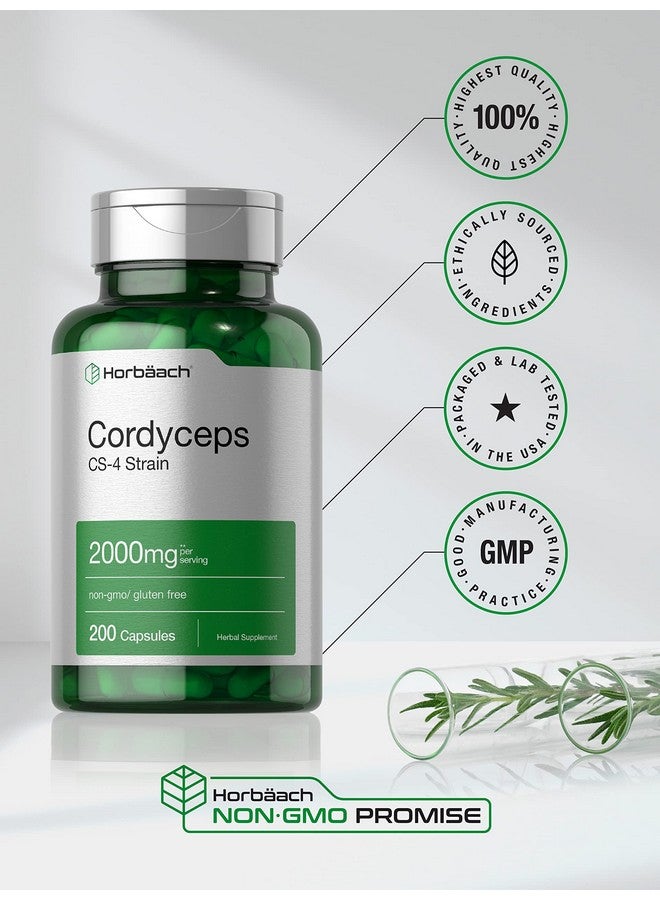 Horbäach Cordyceps Mushroom Capsules 2000mg | 200 Count | CS-4 Strain Cordyceps Sinesis | Non-GMO Herbal Supplement - Image 5