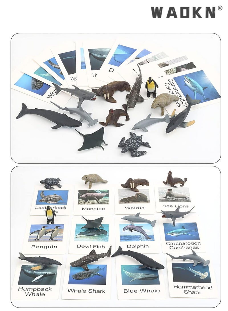 WAOKN 12 Small Animal Figurines Learning & Education Toys Plastic Realistic Sea Ocean Animal Figures Preschool Learning Activities Matching Game Science Toys with Cognitive Card Early Education Knowledge Learning Card for Kid - Image 1