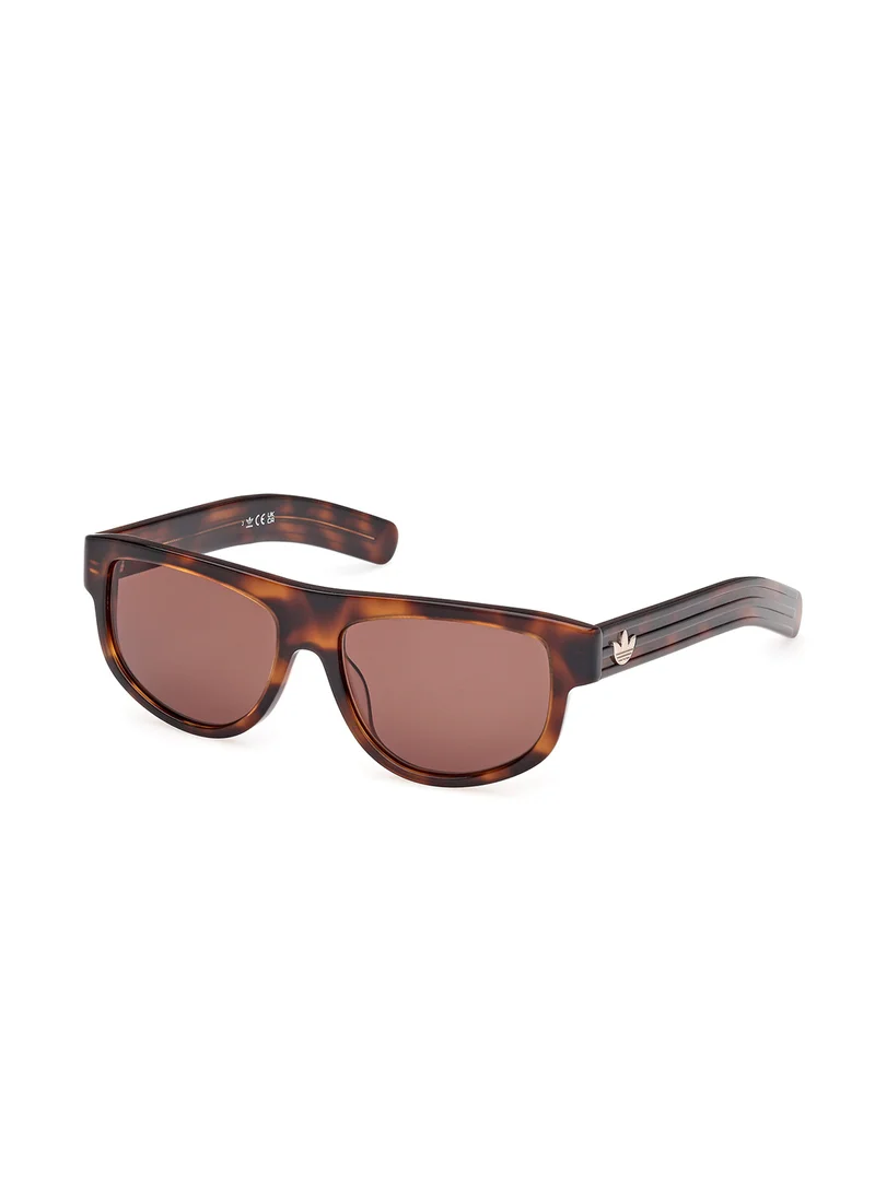 اديداس اوريجينالز Wayfarers Sunglasses