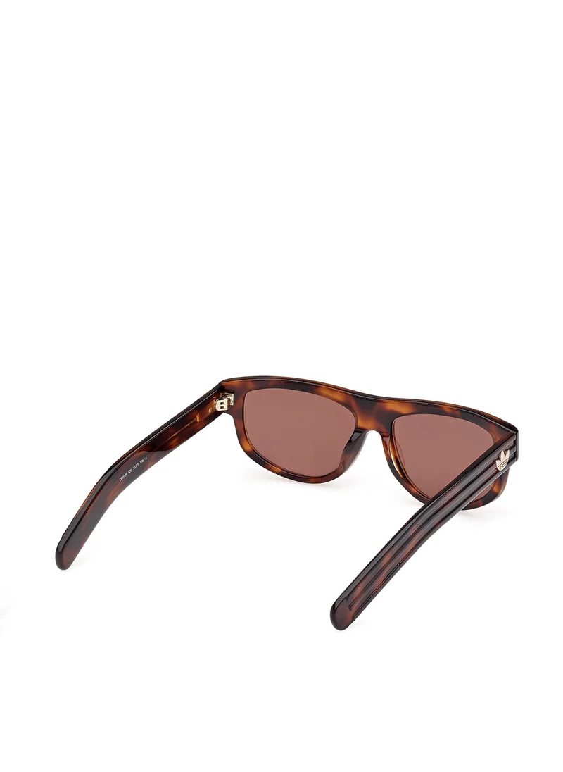 اديداس اوريجينالز Wayfarers Sunglasses