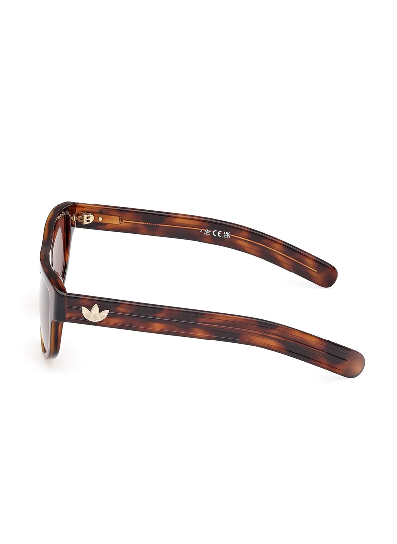 اديداس اوريجينالز Wayfarers Sunglasses