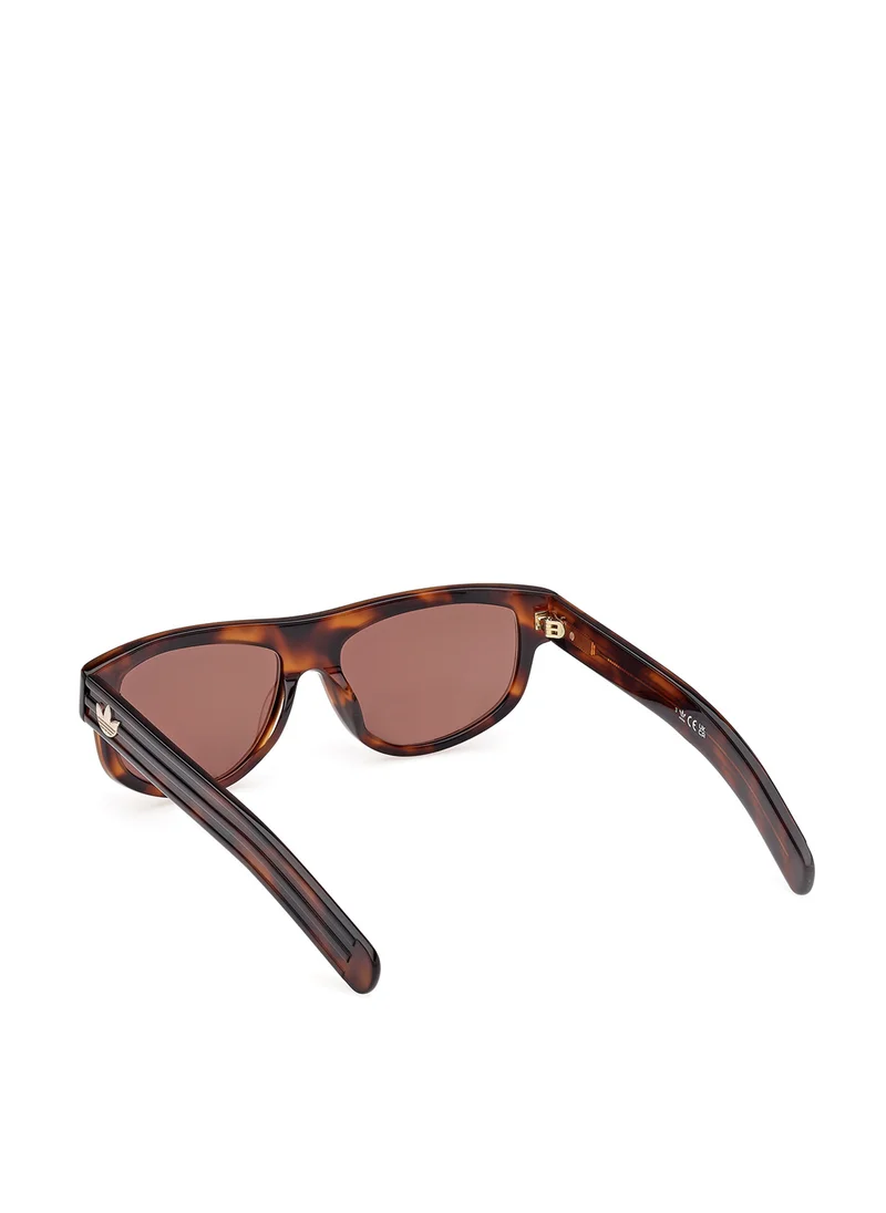 اديداس اوريجينالز Wayfarers Sunglasses