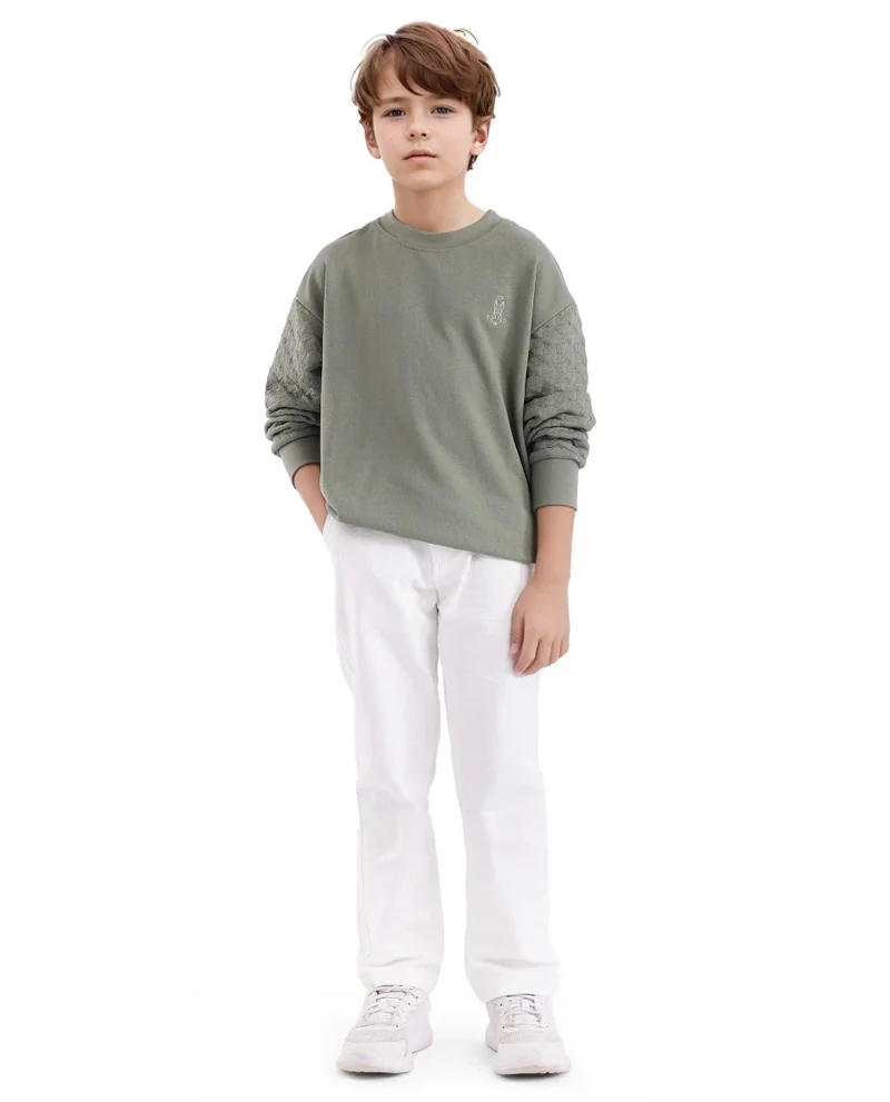 Rare Ones Rare Ones Kids Taron Dusky Green Cotton Poly Full Sleeve Embroidered Sweatshirt