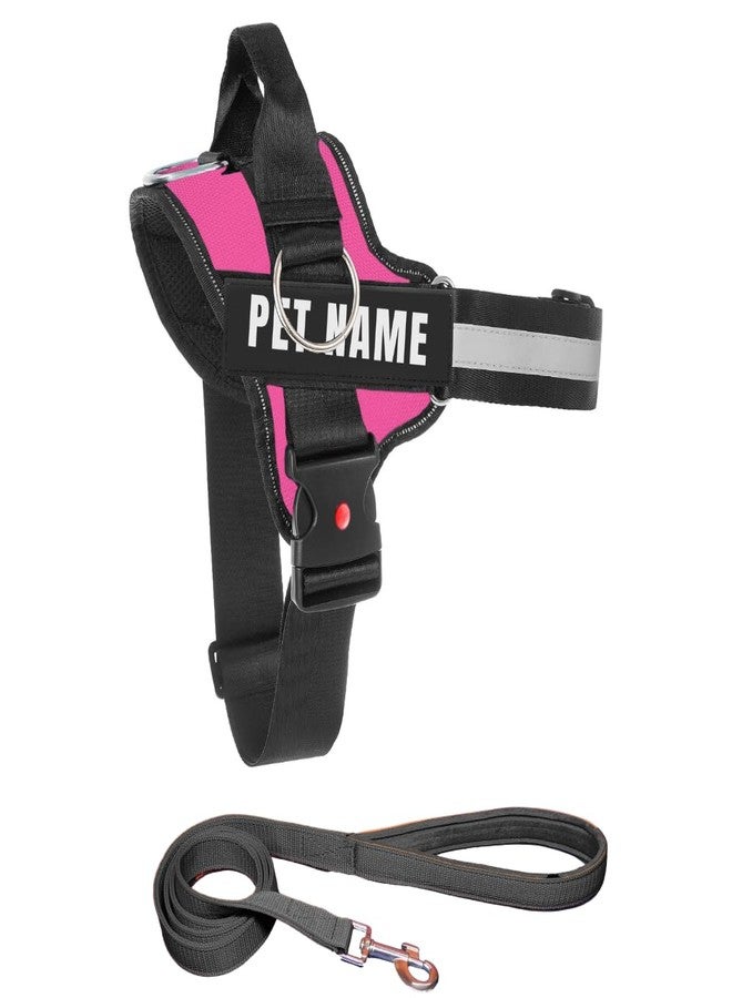 KIKA Pets No Pull Dog Harness with Name | Custom Dog Harness for Large Dogs Golden Retreiver Labrador, Large Size (for 21-35 kgs) Hot Pink with Leash Padded - Image 1