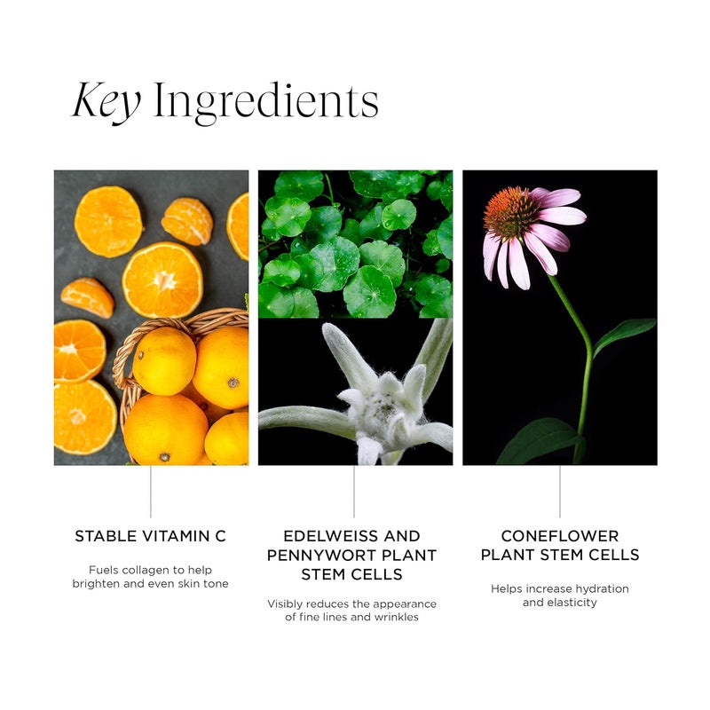 Intelligent Nutrients Regenerative Super Power C Serum AgeDefying Vitamin C Formula Smoothes Softens and Firms With Plant Stem Cell Science 1 Oz - Image 4