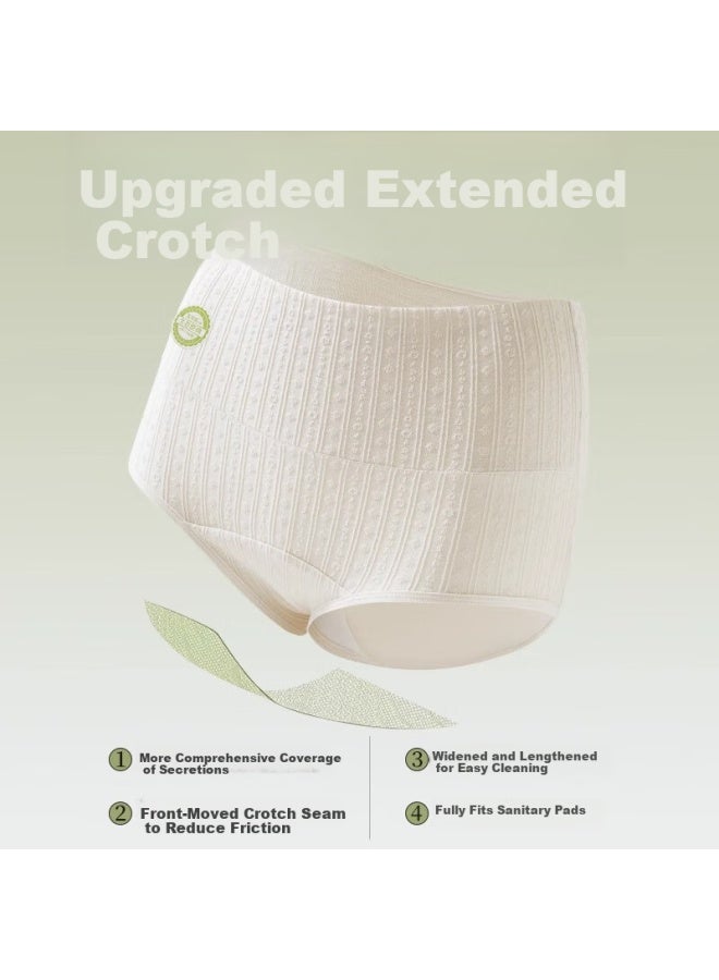 PLANDOO Palando Plus Size Medical Grade Class A Baby Cotton Women's Underwear Extended Crotch High Waist Tummy Control Pure Cotton 3-pack XL - Image 3