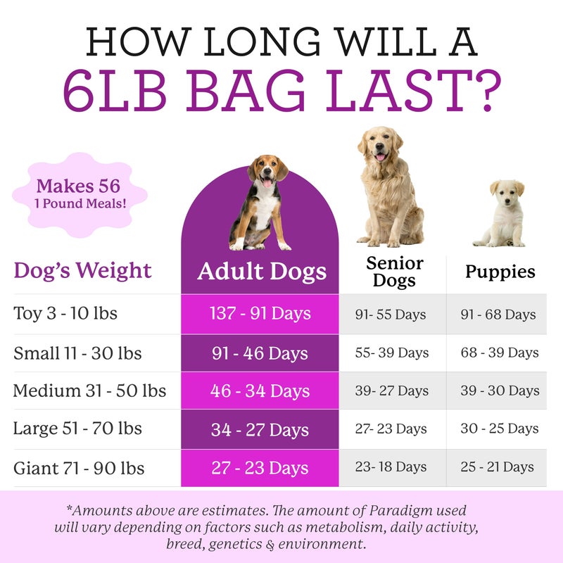 Dr. Harvey's Paradigm Green Superfood Dog Food, Human Grade Dehydrated Grain Free Base Mix for Dogs, Diabetic Low Carb Ketogenic Diet (6 Pounds) - Image 5