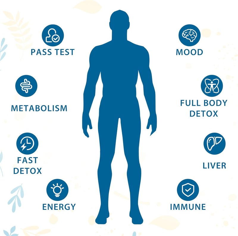Verdanthus 31inONE Detox and Liver Cleanser Full Body Detoxification Toxins Cleaner for Liver Kidney Natural Herbal Formula Support Immune  Mood 60 Capsules - Image 4