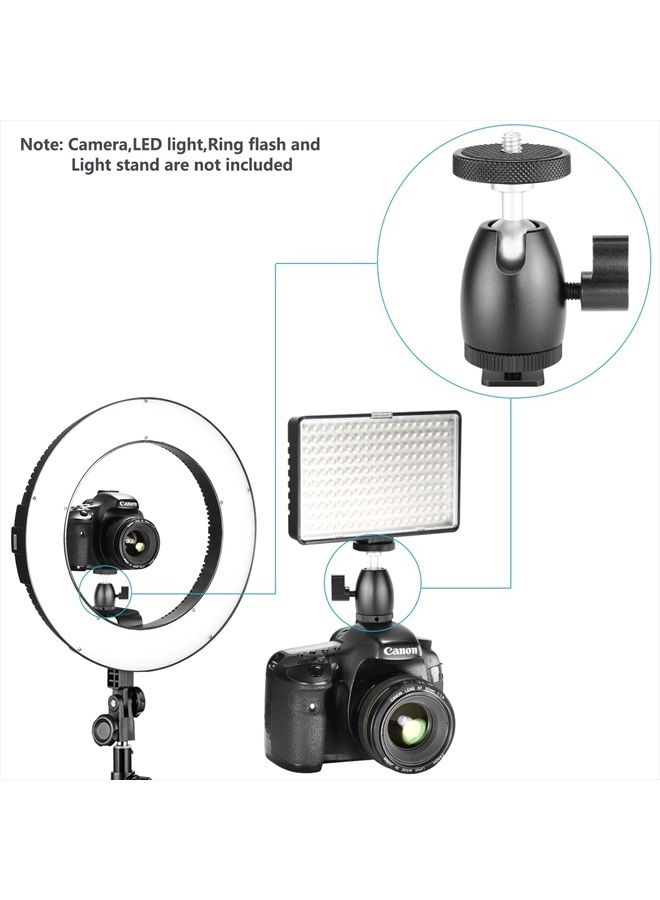 Neewer Mini Ball Head 1/4 inch Screw with Lock and Hot Shoe Mount Adapter Compatible with LED Light,Ring Light,Load Up to 4.4 pounds/2 kilograms - Image 2