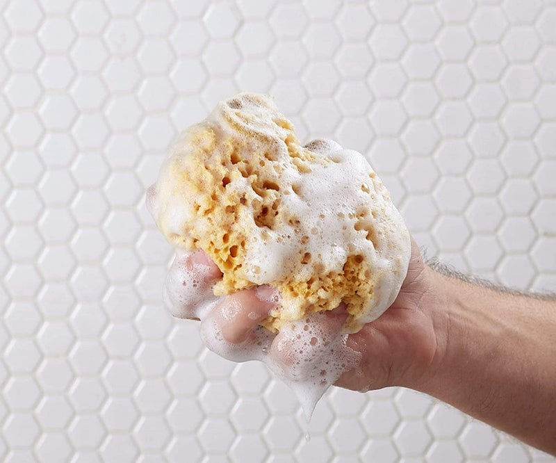 BULLDOG غسول الجسم للرجال من بُلدوغ، بنكهة النعناع والأوكالبتوس، 16.9 أونصة سائلة - Image 4