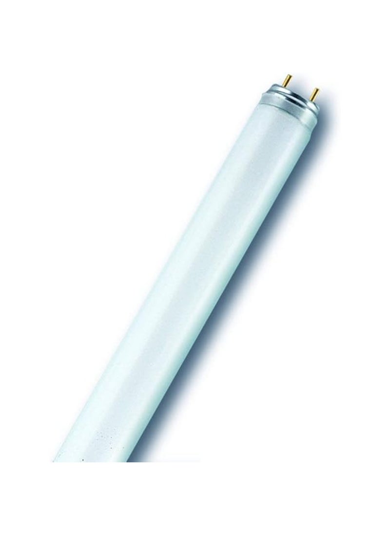 Osram - Osram/ Ledvance Fluorescent Tube Light Basic Plus T8 L 18W 3000k G13 Warm White 0.6 m- Pack of 10 - Image 1