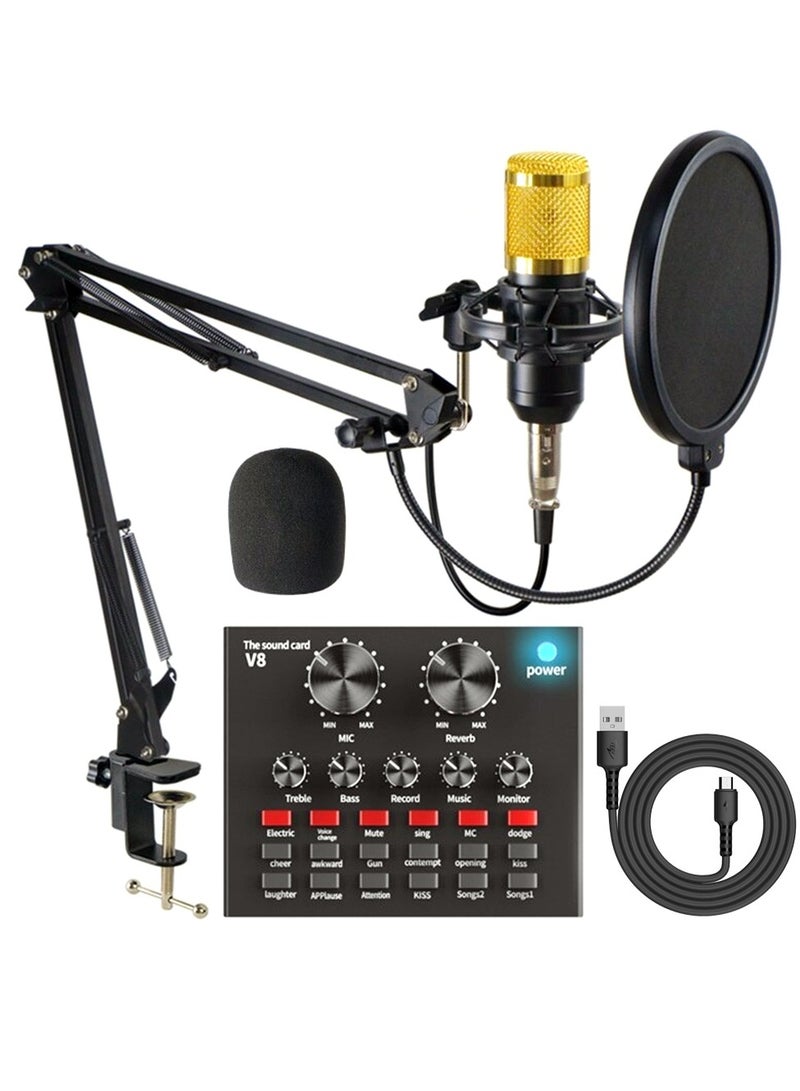 ميكروفون BM800 المكثف مع بطاقة الصوت V8 لايف USB خلط - Image 1