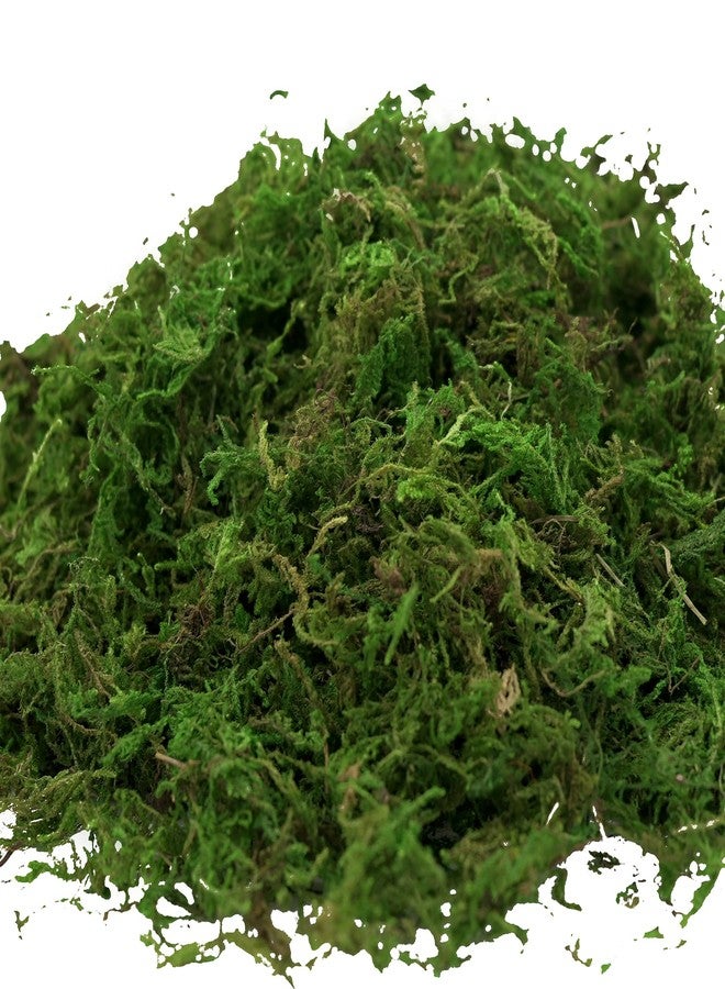 USMOLA Artificial Moss 16oz – Fake Moss for Crafts, Fairy Gardens, Wedding & Party Decor, Centerpieces & Potted Plants (Fresh Green, 455g) - Image 4