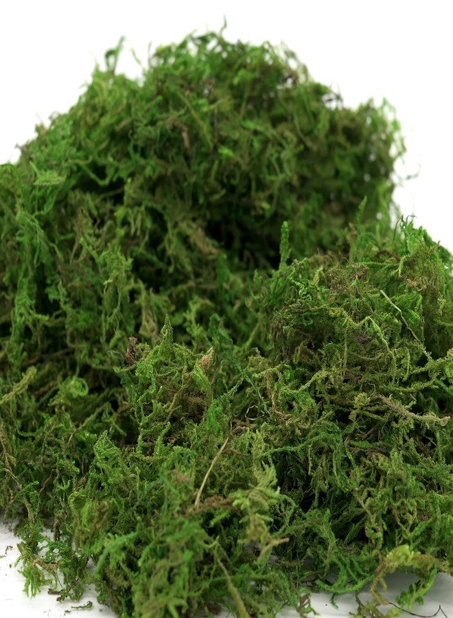 USMOLA Artificial Moss 16oz – Fake Moss for Crafts, Fairy Gardens, Wedding & Party Decor, Centerpieces & Potted Plants (Fresh Green, 455g) - Image 5