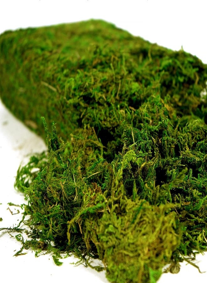 USMOLA Artificial Moss 16oz – Fake Moss for Crafts, Fairy Gardens, Wedding & Party Decor, Centerpieces & Potted Plants (Fresh Green, 455g) - Image 1