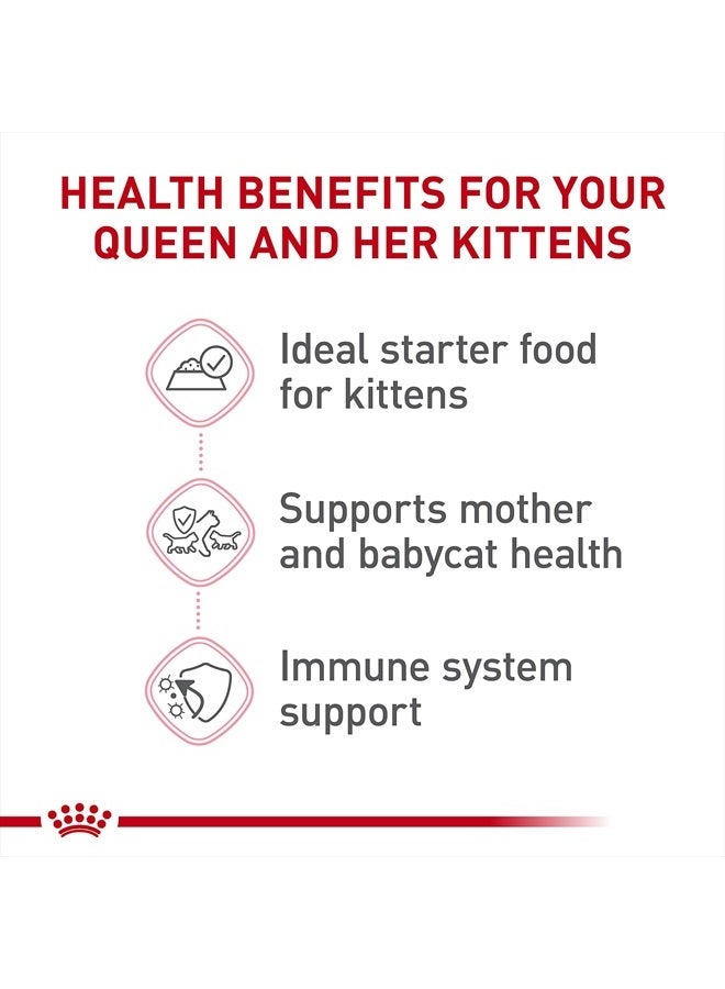 ROYAL CANIN طعام قطط معلب فليين هيلث نيوترشن للأم وقطط البيبي كات موس ناعم جداً في صلصة، علبة 3 أونصات (12-count) - Image 2