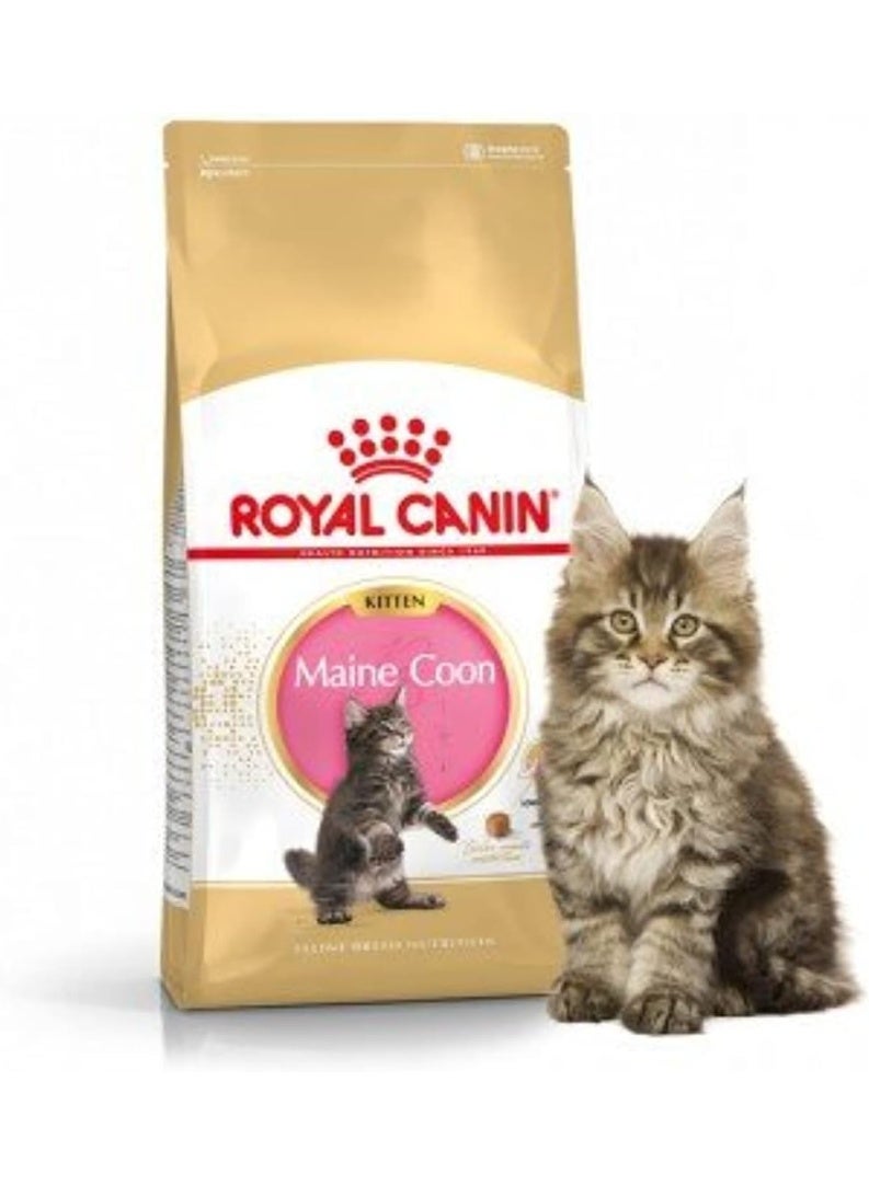 تغذية سلالة قطط مين كون الصغيرة ٢ كجم