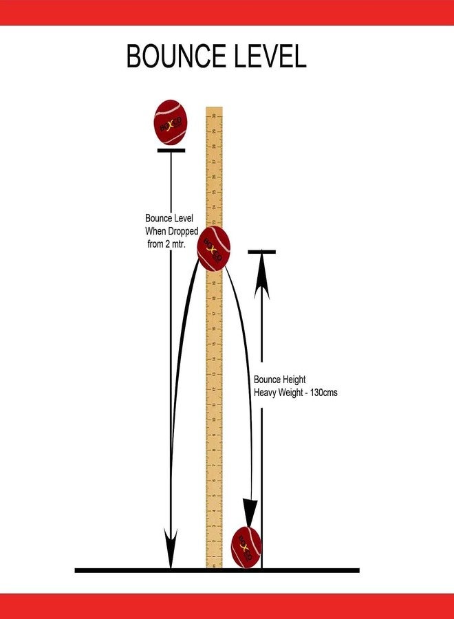 BOXCO Velocity Tennis Cricket Ball - Practice and Training Standard Size for Club Matches, Tournaments, Street and Lawn Cricket (Pack of 12) (Maroon) - Image 5