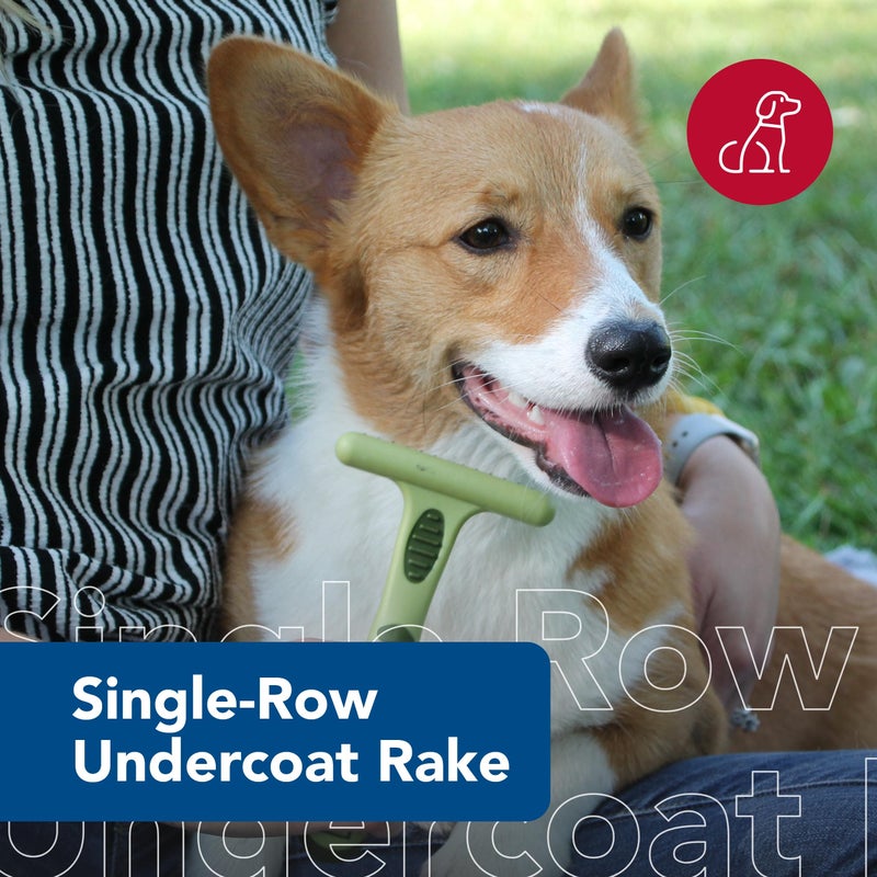 Coastal Pet - Safari Dog Undercoat Rake - Dog Grooming Rake - Gentle Dematting Comb for Dogs - Effective Deshedding Comb - Pet Grooming Tools - Single Row - Image 2