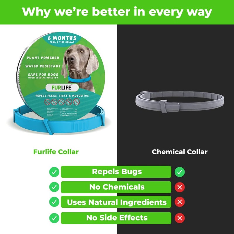 FurLife Flea and Tick Collar for Dogs â€“ Waterproof Blue Dog Collar, Pet Supplies for Tick and Flea Prevention for Dogs, Safe for All Breeds - Image 4