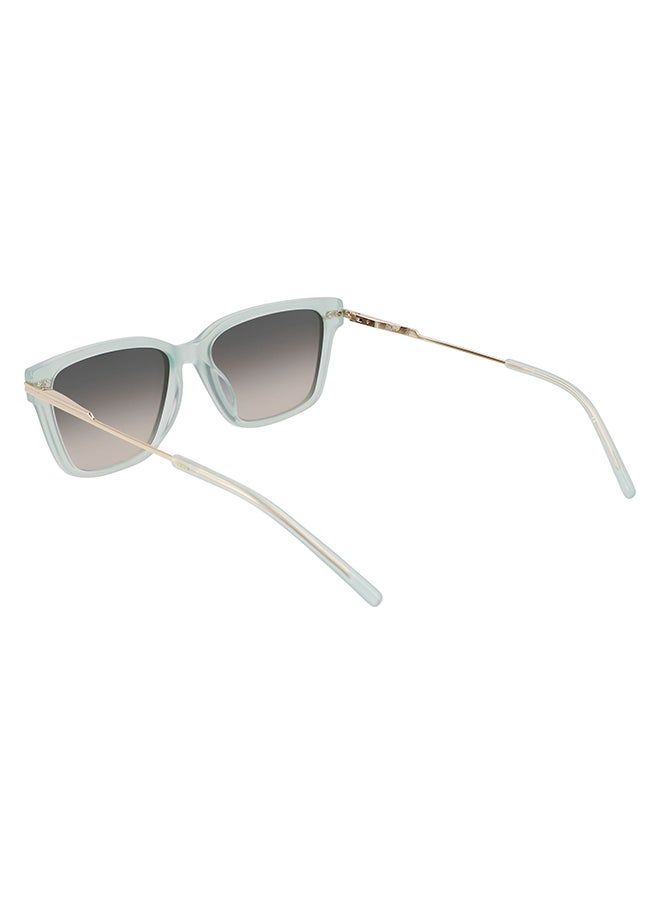 DKNY Full Rim Acetate Tea Cup Sun Dk713S (V3) Demi Olive  - Image 5