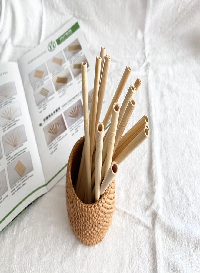 TRAGO Bamboo Straws Pack of 25 Natural Eco Friendly Biodegradable Drinking Straws Size 12mm x 220mm - Image 2