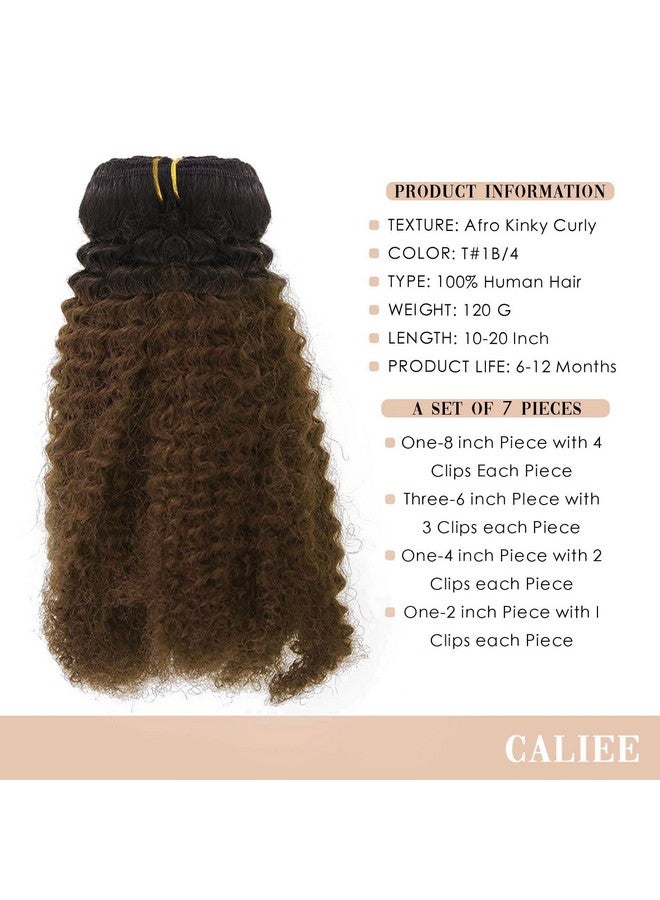 Caliee Afro Kinky Curly Clip In Hair Extension Human Hair Double Weft Unprocessed Remy Natural Black Hair And Dark Brown T#1B/4 Clip Ins Hair,14 Inch - Image 1
