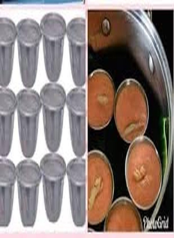 أطباق/مقالي/أكواب طهي موي موي (بودنغ الفاصوليا) مع أغطية (12 قطعة) - Image 1