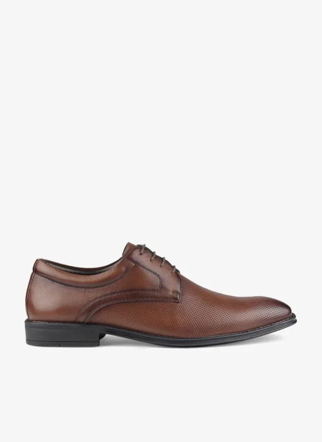 LBL by Shoexpress Men Lace-Up Leather Derby Shoes