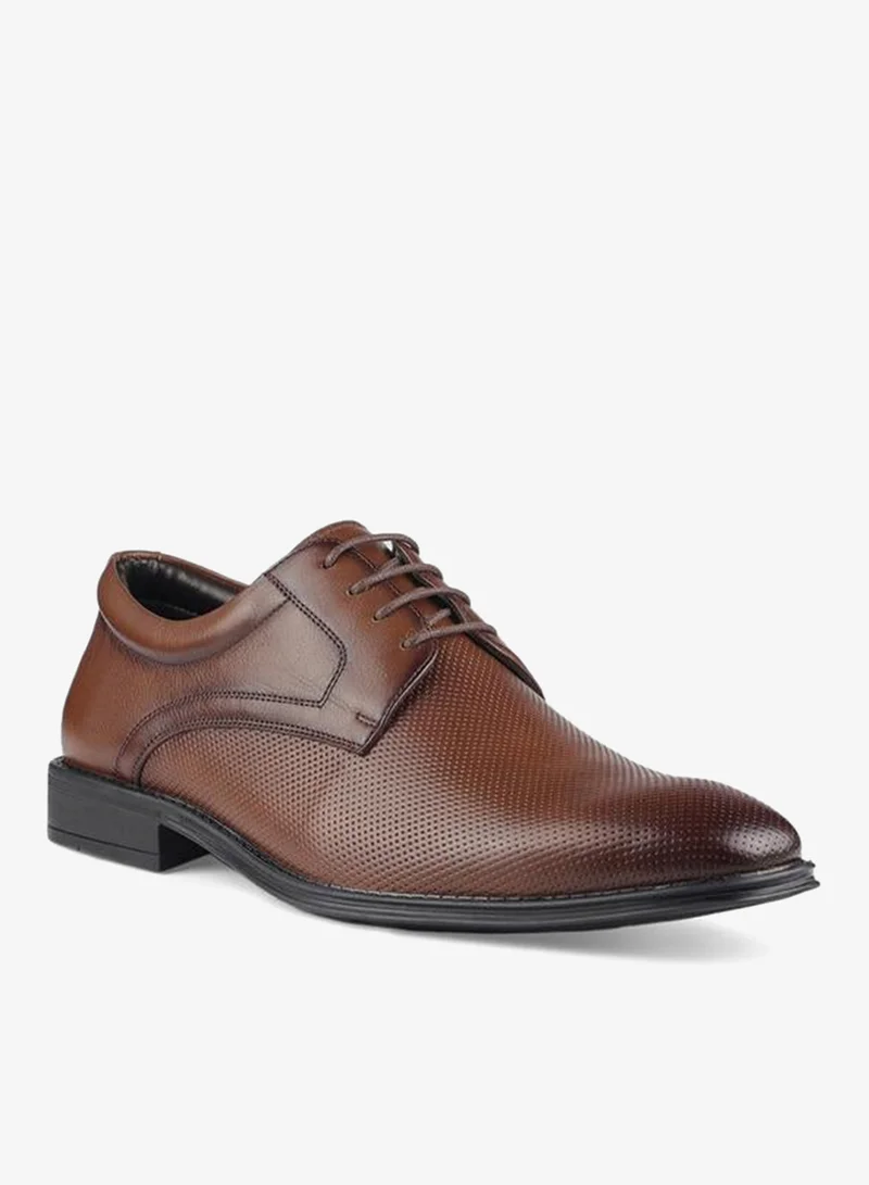 LBL by Shoexpress Men Lace-Up Leather Derby Shoes