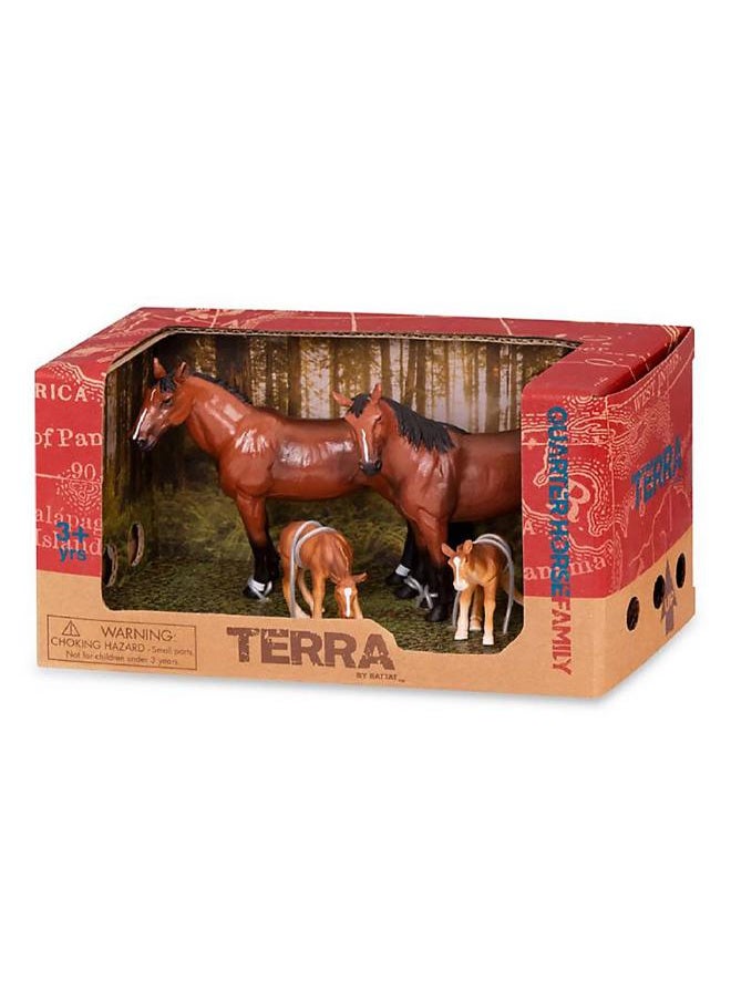 Terra HORSE FAMILY  - Image 1