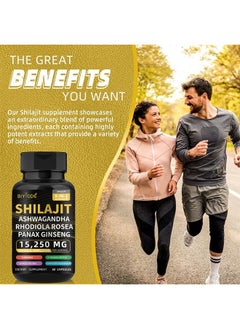 BIYODE Himalayan Shilajit Ashwagandha Rhodiola Rosea Panax Ginseng 60 Capsules, Enhance Immunity, Boost Energy and Vitality for Sports, Dietary Supplement for Man and Women  - Image 2