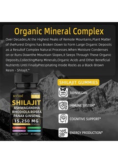 BIYODE Himalayan Shilajit Ashwagandha Rhodiola Rosea Panax Ginseng 60 Capsules, Enhance Immunity, Boost Energy and Vitality for Sports, Dietary Supplement for Man and Women  - Image 3
