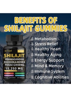 BIYODE Himalayan Shilajit Ashwagandha Rhodiola Rosea Panax Ginseng 60 Capsules, Enhance Immunity, Boost Energy and Vitality for Sports, Dietary Supplement for Man and Women  - Image 4