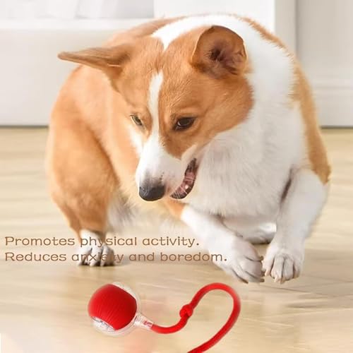 Shatanuvart Export Interactive Rolling Dog Toy – 360° Electric Smart Rolling Ball for Dogs – Automatic Pet Ball with Lights – Fun Exercise Toy for Small & Medium Dogs (Style 2) - Image 2